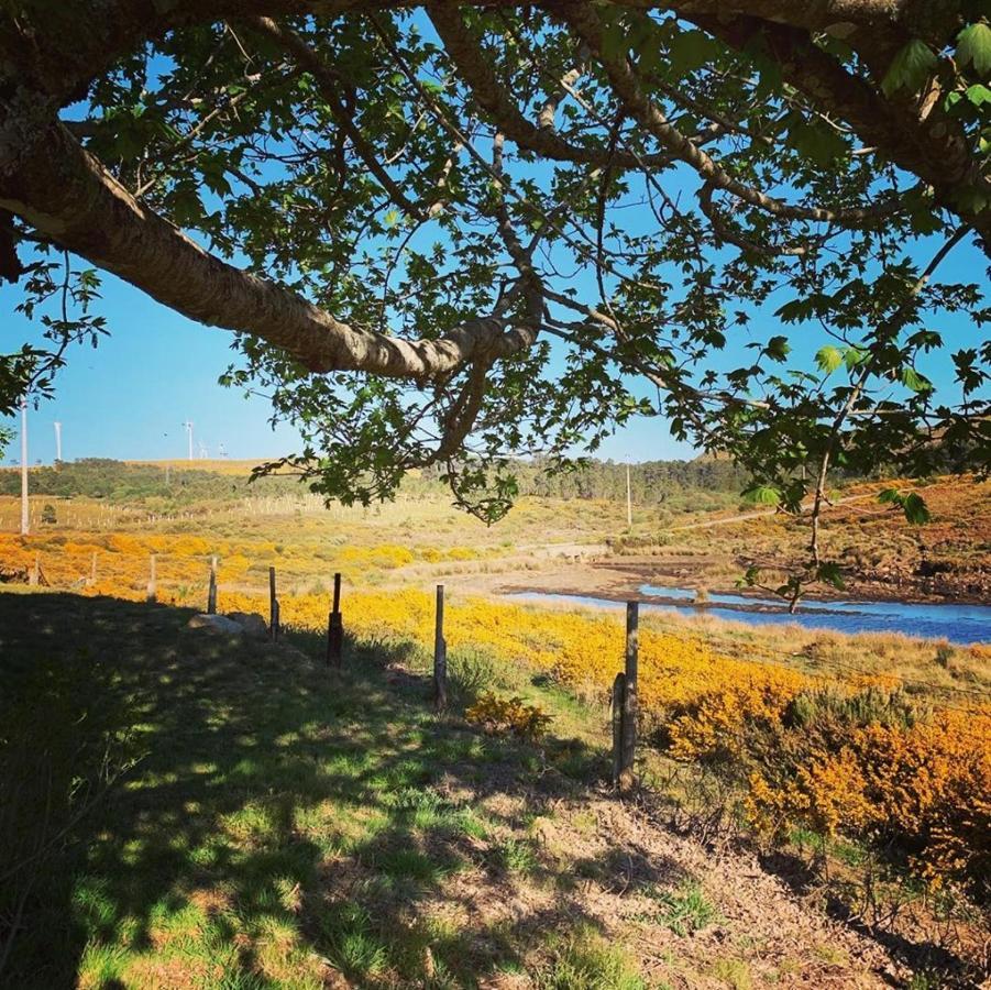 Lago Da Garca Guesthouse São Pedro do Sul Екстериор снимка