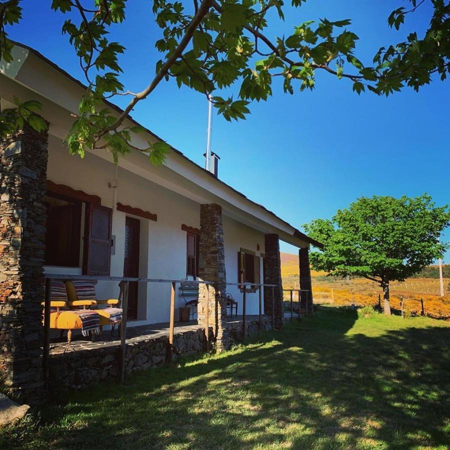 Lago Da Garca Guesthouse São Pedro do Sul Екстериор снимка