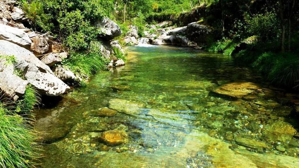 Lago Da Garca Guesthouse São Pedro do Sul Екстериор снимка