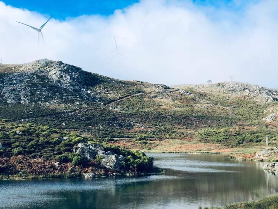 Lago Da Garca Guesthouse São Pedro do Sul Екстериор снимка