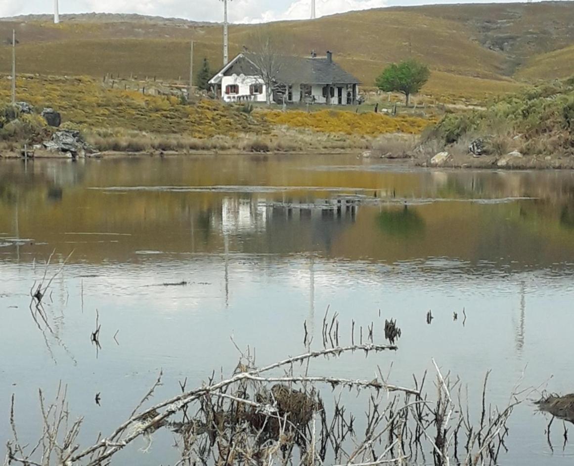 Lago Da Garca Guesthouse São Pedro do Sul Екстериор снимка