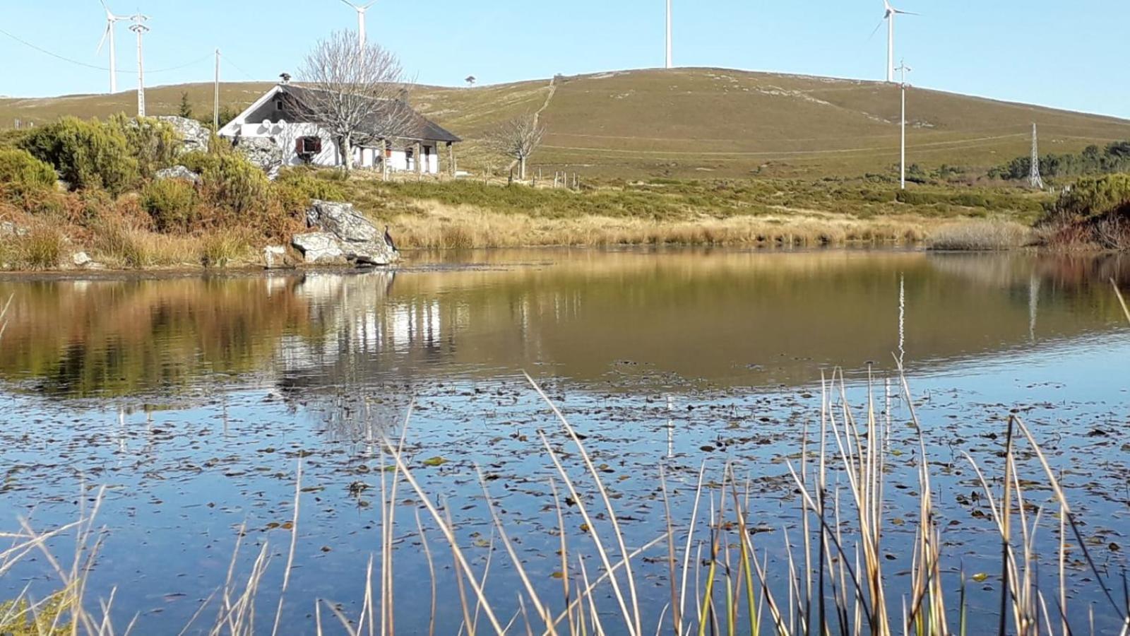 Lago Da Garca Guesthouse São Pedro do Sul Екстериор снимка